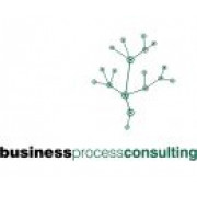 Business Process Consulting Zrt.